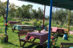 Taş Kemer Söz ve Nişan Fiyatları İzmir Kınık