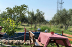Taş Kemer Söz ve Nişan Fiyatları İzmir Kınık