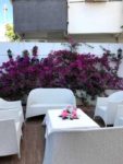 Viçe Cafe & Restaurant Nişan & Söz Fiyatları Maltepe İstanbul