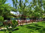 Ship Shack Cafe Restaurant Nişan & Söz Fiyatları Tuzla İstanbul