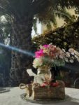 3 Palmiye Cafe Nişan & Söz Fiyatları Pendik İstanbul