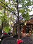 Yeşil & Zeytin Cafe Söz & Nişan Fiyatları Ankara Çankaya