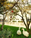 Kadak Garden Hotel Düğün Fiyatları Bahçelievler İstanbul