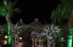 Seal Beach Club Otelde Düğün Fiyatları Karaburun İzmir