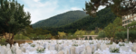 Kaya İzmir Thermal Hotel Otelde Düğün Fiyatları Narlıdere İzmir