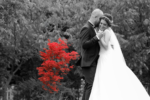 Studio Pierre Loti Dış Çekim ve Düğün Fotoğrafçısı Fiyatları Eyüp İstanbul