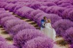 Model Fotoğrafçılık Dış Çekim ve Düğün Fotoğrafçısı Fiyatları Bayrampaşa İstanbul