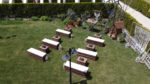 Major Garden Kır Düğünü Fiyatları Buca İzmir