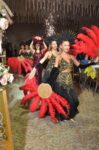 Queen Wedding Organizasyon Fiyatları Keçiören Ankara