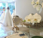 Buket Moda Evi Gelinlik Fiyatları Fatih İstanbul