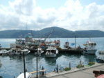 Dolphin Tur Teknede Düğün Fiyatları Sarıyer İstanbul