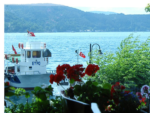 Dolphin Tur Teknede Düğün Fiyatları Sarıyer İstanbul