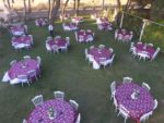 Masal Park Kır Düğün Salonu Kına Gecesi Nişan ve Söz Mekanları Fiyatları Buca İzmir