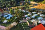 Bella Garden Kır Düğünü Nikah Salonu Fiyatları Beykoz İstanbul