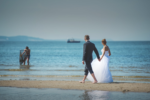 Nilay İşlek Dış Çekim ve Düğün Fotoğrafçısı Fiyatları Konak İzmir