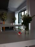 Mis Organizasyon Düğün Doğum Günü ve Baby Shower Mezuniyet ve Balo Sünnet Evlilik Teklifi Fiyatları Esenyurt İstanbul