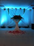 Mis Organizasyon Düğün Doğum Günü ve Baby Shower Mezuniyet ve Balo Sünnet Evlilik Teklifi Fiyatları Esenyurt İstanbul