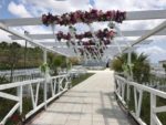 Mis Organizasyon Düğün Doğum Günü ve Baby Shower Mezuniyet ve Balo Sünnet Evlilik Teklifi Fiyatları Esenyurt İstanbul
