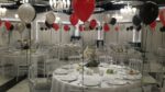 Mis Organizasyon Düğün Doğum Günü ve Baby Shower Mezuniyet ve Balo Sünnet Evlilik Teklifi Fiyatları Esenyurt İstanbul