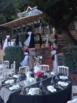 Mis Organizasyon Düğün Doğum Günü ve Baby Shower Mezuniyet ve Balo Sünnet Evlilik Teklifi Fiyatları Esenyurt İstanbul