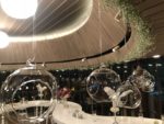 Mis Organizasyon Düğün Doğum Günü ve Baby Shower Mezuniyet ve Balo Sünnet Evlilik Teklifi Fiyatları Esenyurt İstanbul
