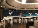 Mis Organizasyon Düğün Doğum Günü ve Baby Shower Mezuniyet ve Balo Sünnet Evlilik Teklifi Fiyatları Esenyurt İstanbul