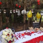 Defne Garden Kır Düğünü Fiyatları Soma Manisa