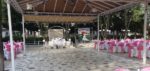 Meydan Düğün Salonu Kır Düğünü Fiyatları Akhisar Manisa