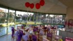 Hobi Park Düğün Davet Kır Düğünü Fiyatları Menemen İzmir