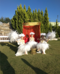 Moonlight Kır Düğün Salonları Kır Düğünü Fiyatları Buca İzmir