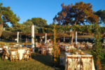 Hanedan Beach Hotel Sünnet Düğünü Mekanları Fiyatları Foça İzmir