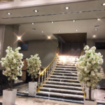 Armonia Lounge Sünnet Düğünü Mekanları Fiyatları Bayrampaşa İstanbul