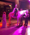 Romarin Wedding & More Sünnet Düğünü Mekanı Fiyatları Narlıdere İzmir