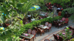 Şehristan Cafe Restaurant Nişan ve Söz Mekanları Fiyatları Bakırköy İstanbul