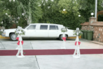 İzmir VIP Limuzin Klasik Gelin Arabası Fiyatları Buca İzmir
