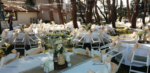 Ege Atlı Spor Kulübü Doğum Günü ve Baby Shower Mekanları Fiyatları Menderes İzmir