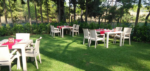 Ege Atlı Spor Kulübü Doğum Günü ve Baby Shower Mekanları Fiyatları Menderes İzmir