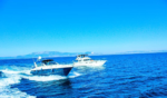 Summer Organizasyon Evlilik Teklifi Organizasyonu Fiyatları Bayraklı İzmir