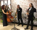 Solo Müzik Düğün Orkestrası DJ ve Müzik Grupları Fiyatları Beşiktaş İstanbul