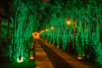 Three Palm Event & More Kır Düğünü Fiyatları İzmir