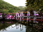 Gölbaşı Restaurant Evlilik Teklifi Mekanları Fiyatları Gölcük Kocaeli