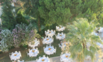 Hitit Hotel & Restaurant Konferans Ve Toplantı Salonu Fiyatları Selçuk İzmir