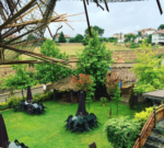 Bambu Garden Doğum Günü ve Baby Shower Fiyatları Beykoz İstanbul