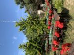 Moor Garden Nişan ve Söz Fiyatları Ataşehir İstanbul