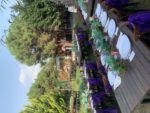 Moor Garden Nişan ve Söz Fiyatları Ataşehir İstanbul