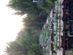 Moor Garden Nişan ve Söz Fiyatları Ataşehir İstanbul