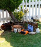 Kristal New Garden Kır Düğünü Fiyatları Buca İzmir