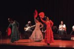 Poli Ajans Müzik Organizasyon Düğün Orkestrası Fiyatları Ankara