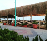 Artis Cafe Beach Düğün & Davet Fiyatları Seferihisar İzmir