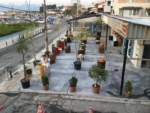 Taka Balık Evi Nikah Sonrası Yemek Fiyatları Narlıdere İzmir